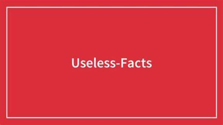 40 Useless Facts To Possibly Impress Your Friends Bored Panda