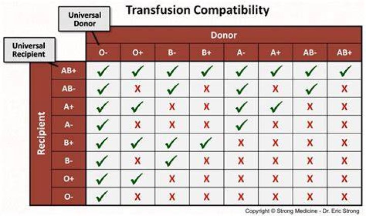 A Compatibility Guide For Transfusions