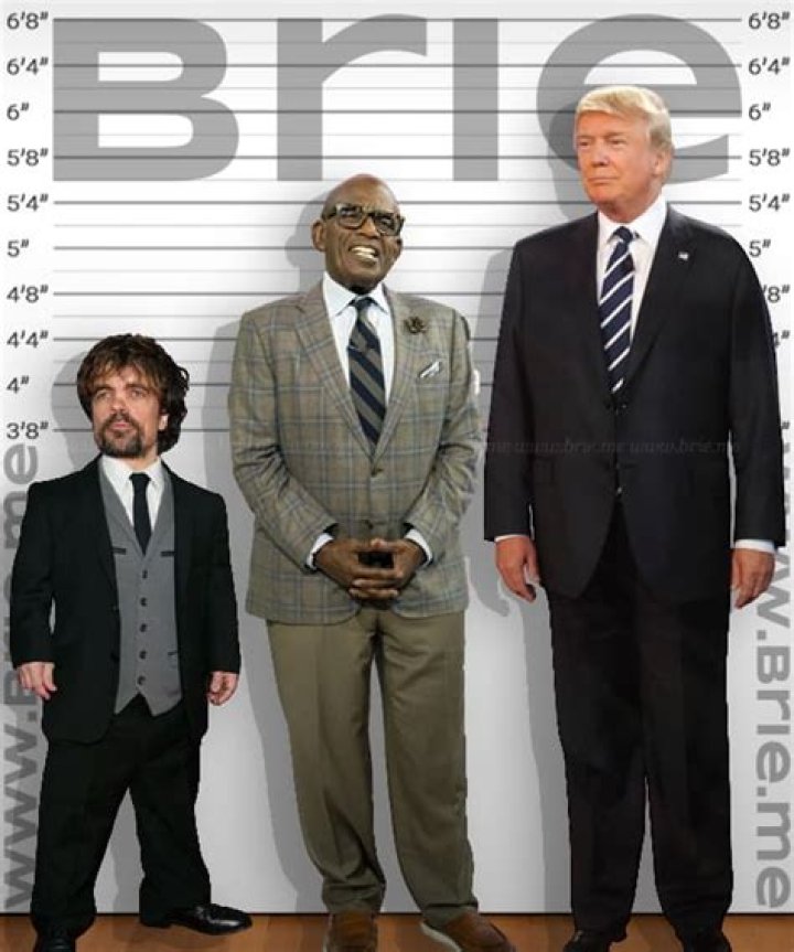 Al Roker Height Brie