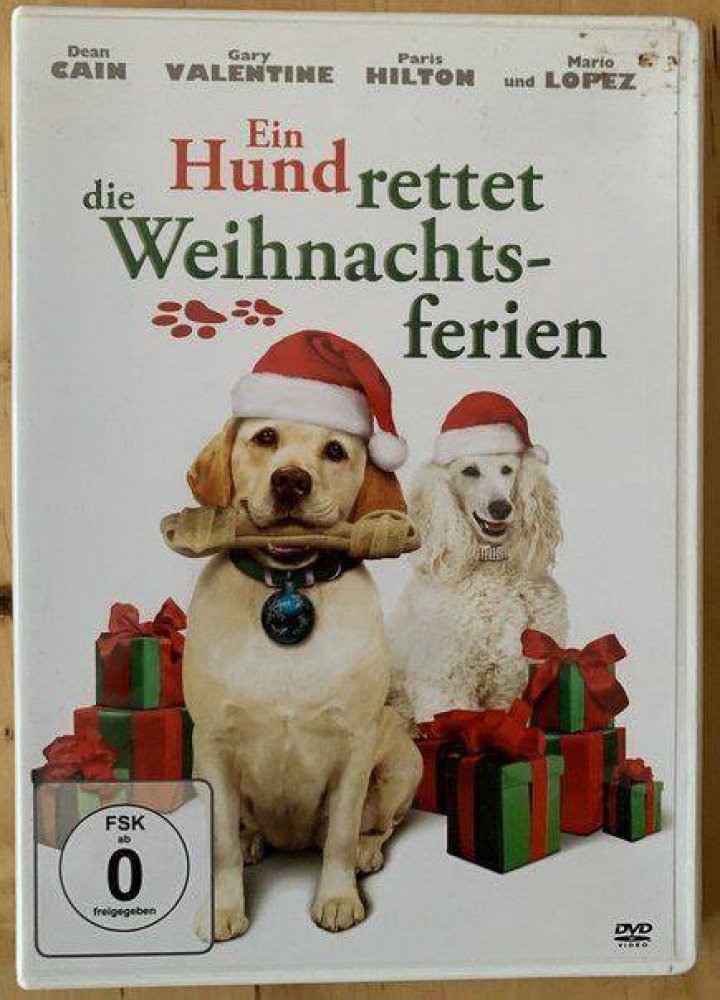Amazon.de Ein Hund rettet die Weihnachtsferien ansehen Prime Video