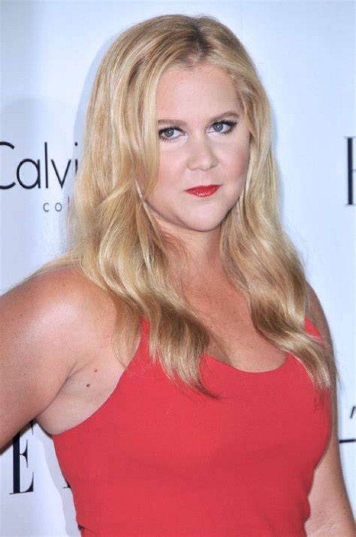AMY SCHUMER at 2015 Elle Women in Hollywood Awards in Los Angeles 10/19