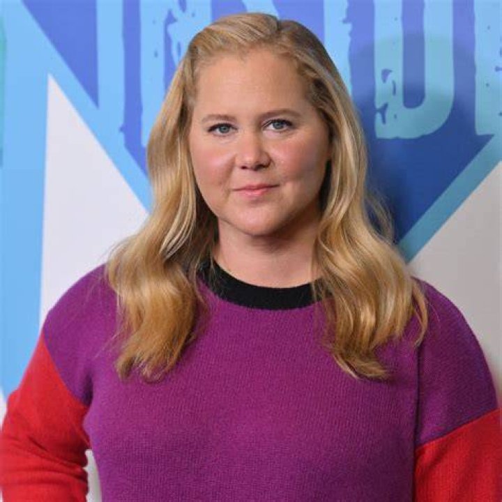 Amy Schumer Sounds Off After an Instagram User Edited Her to Look