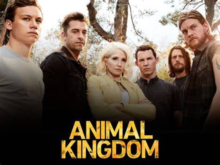 Animal Kingdom (TV Series 20162022) IMDb