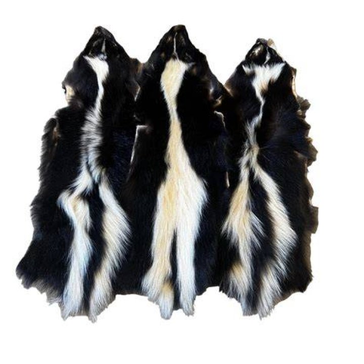 Are skunk pelts worth anything?