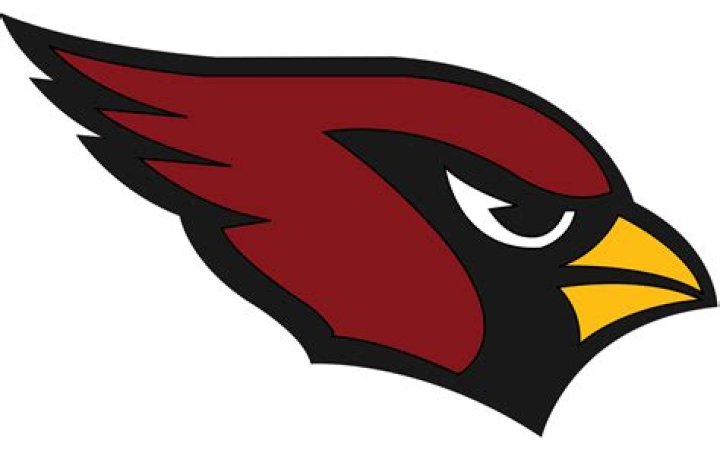 Arizona Cardinals Logo valor, hist&oacute;ria, PNG
