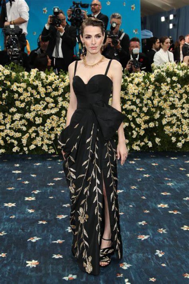 Bee Shaffer Photostream Met gala looks, Met gala, Met gala red carpet