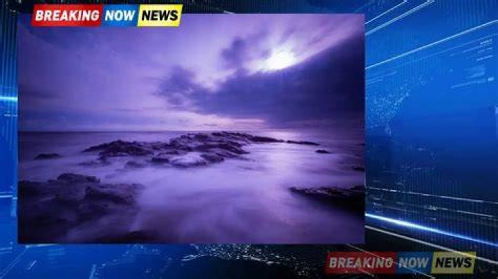 Breaking News: Tragic Murder Of 5 Students In Mexico Shocks Twitter