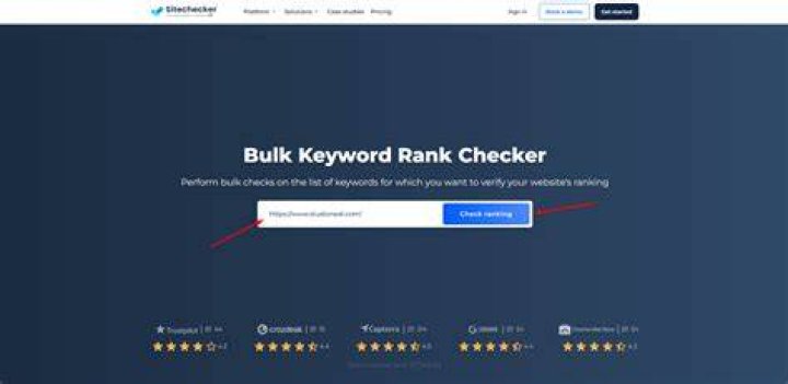 Bulk Keywords Ranking Checker Uncategorized Media Shark