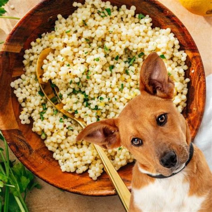 Can babies eat couscous?