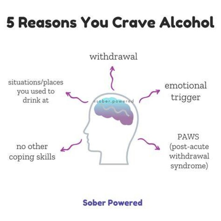 Can hormones make you crave alcohol?