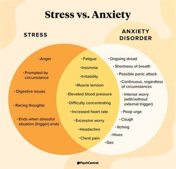 Can stress and anxiety cause neurological symptoms?