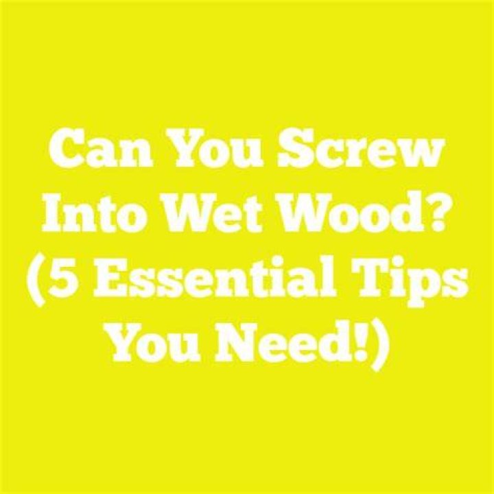 Can you drill a screw into wet wood?