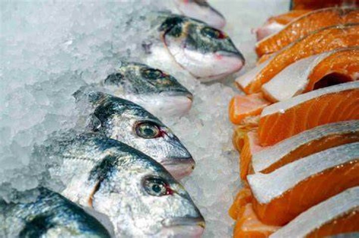 Can you eat raw fish straight from the ocean?