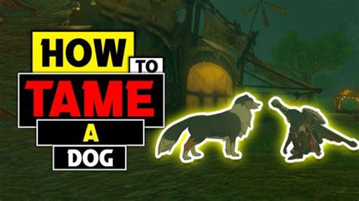 Can you have a dog in Zelda breath of the wild?