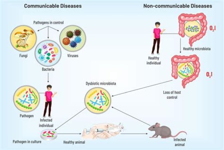 Connect directly with communicable disease experts through new site
