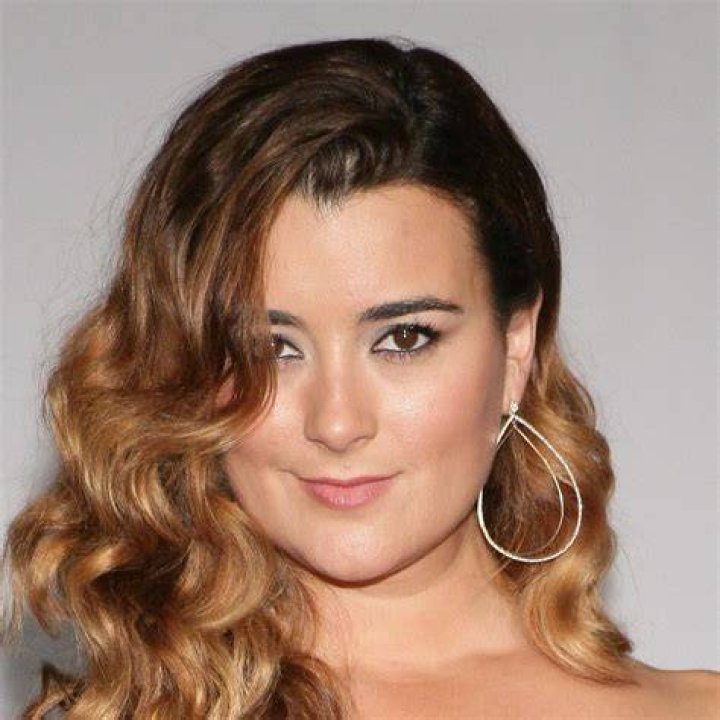 Cote De Pablo Movies And TV Shows: A Guide To Her Best Roles