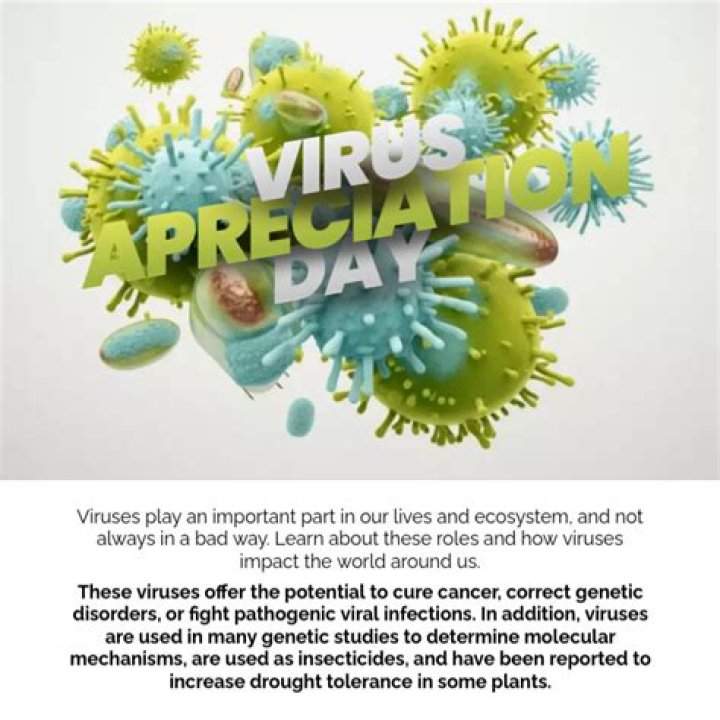Day 9 電腦病毒VS蠕蟲 (Virus vs Worm)(上) iT 邦幫忙一起幫忙解決難題，拯救 IT 人的一天