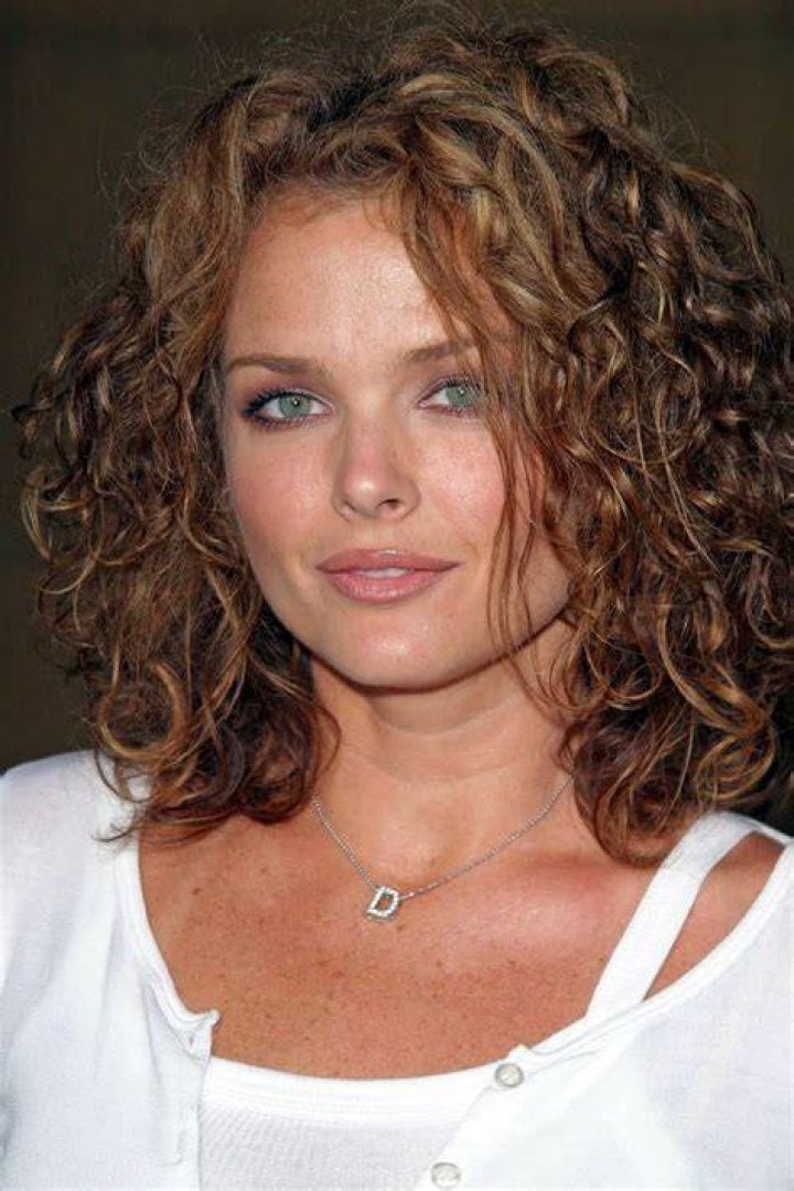 Dina Meyer Movie List, Wiki, Marital Status, Age, Instagram, Net Worth
