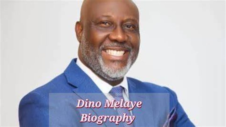 Dino Melaye Biography, Age, Early Life, Family, Education, Political