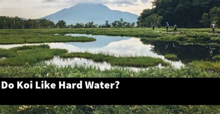 Do Oscars like hard water?