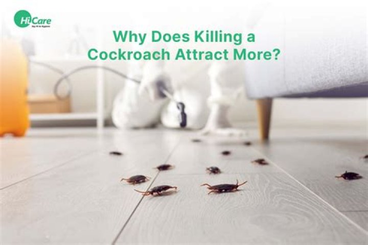 Does crushing a cockroach attract more?