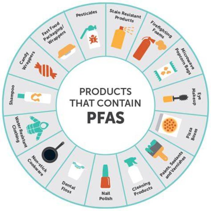Does Nalgene have Pfas?