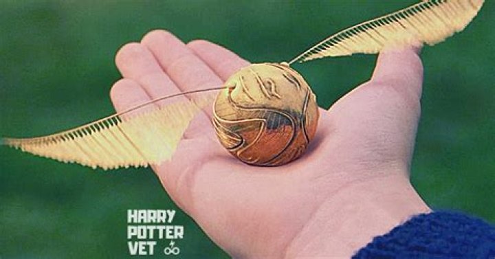 Does the Golden Snitch automatically win the game?