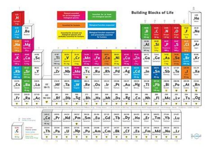 Essential Building Blocks Of The Periodic Table