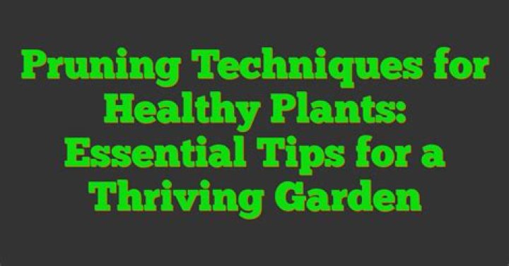 Essential Tips For Healthy Plants
