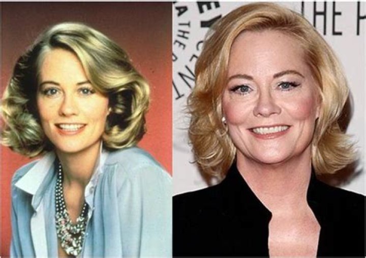 Famous Tv Show Stars Then And Now Celebrities vrogue.co