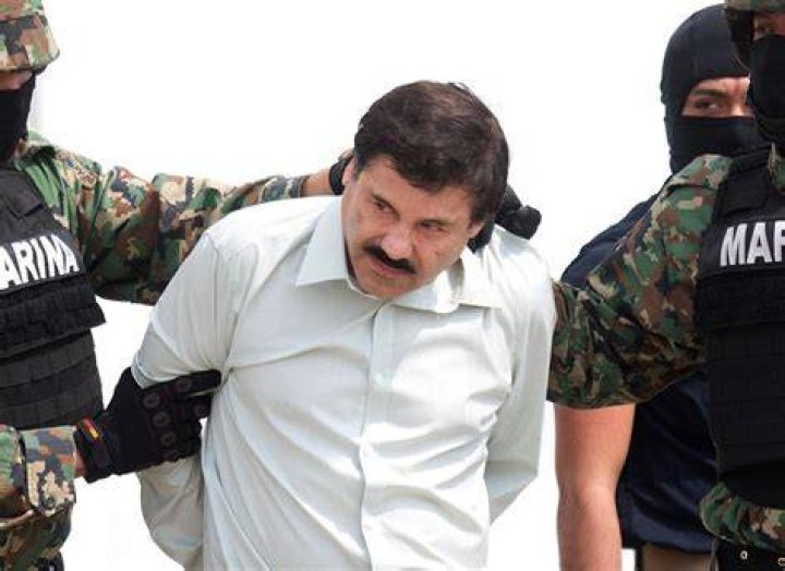 Guzman image