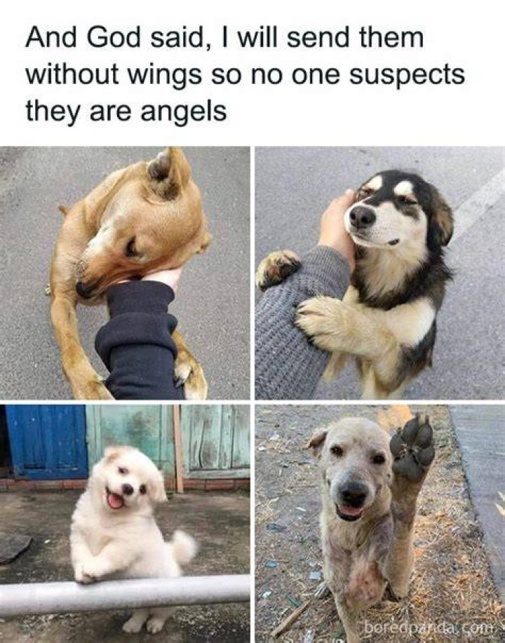 Hilarious Memes To Brighten Your Morning: The Ultimate Collection