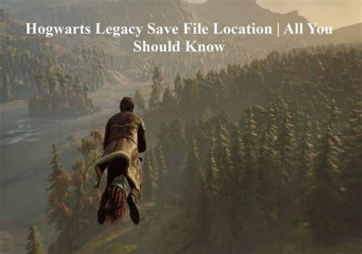 Hogwarts Legacy How to Save a Phoenix Arizona News