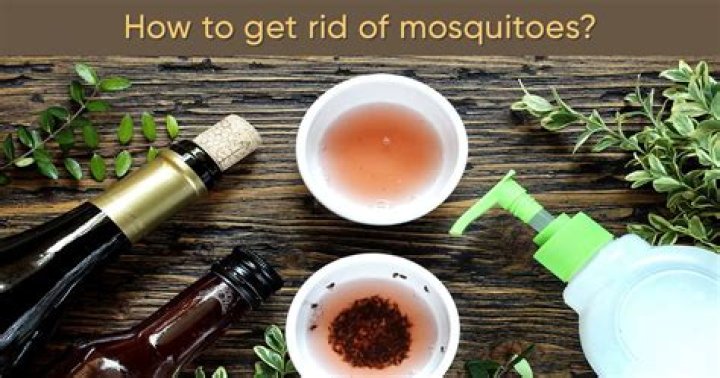 How do I get rid of mosquitoes in my yard naturally?