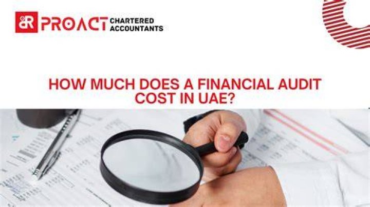 How much is a financial audit?
