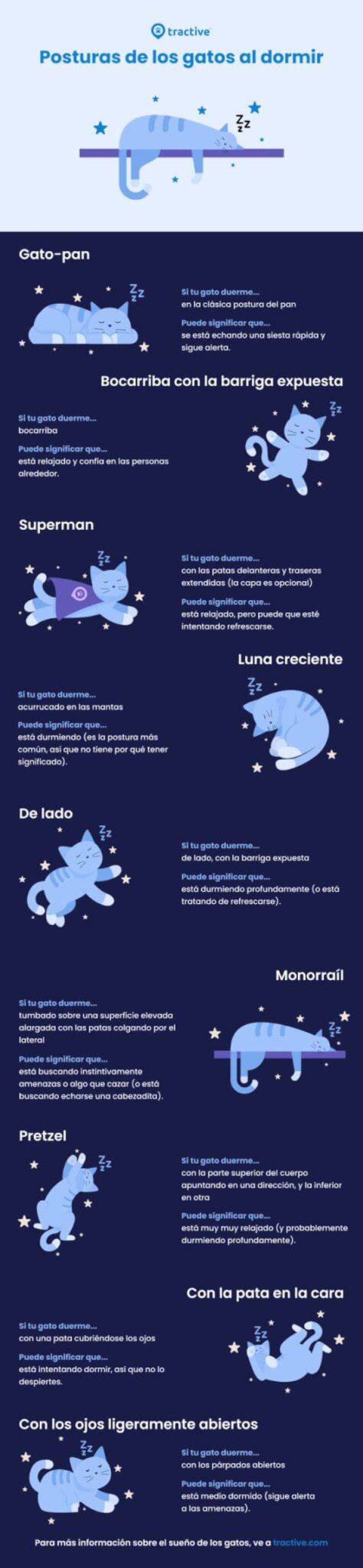 ¿Babeas al dormir? Conoce las posibles causas y cuándo acudir al médico