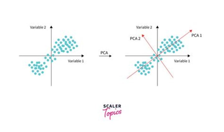 Is it necessary to scale data before PCA?