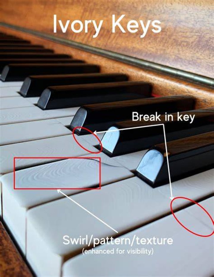 Is ivory still used for piano keys?