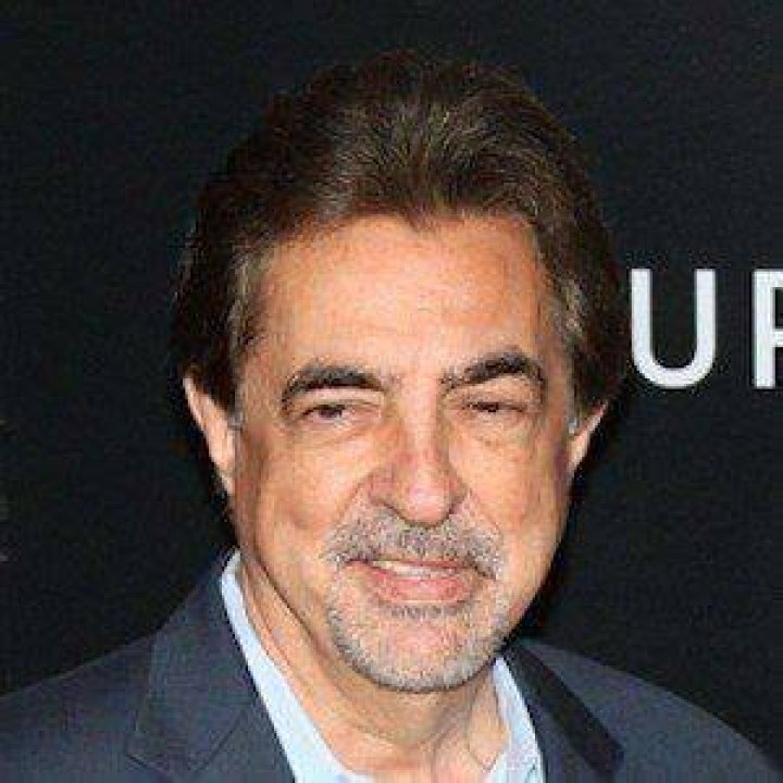 Joe Mantegna Movies, Bio and Lists on MUBI