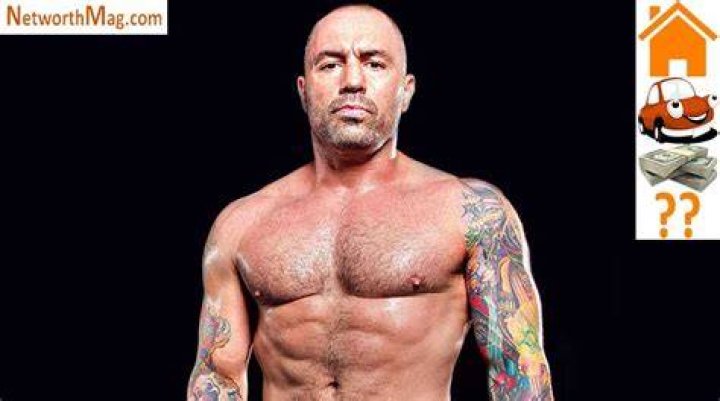 Joe Rogan Net Worth, How Much Is Joe Rogan Worth Piethis
