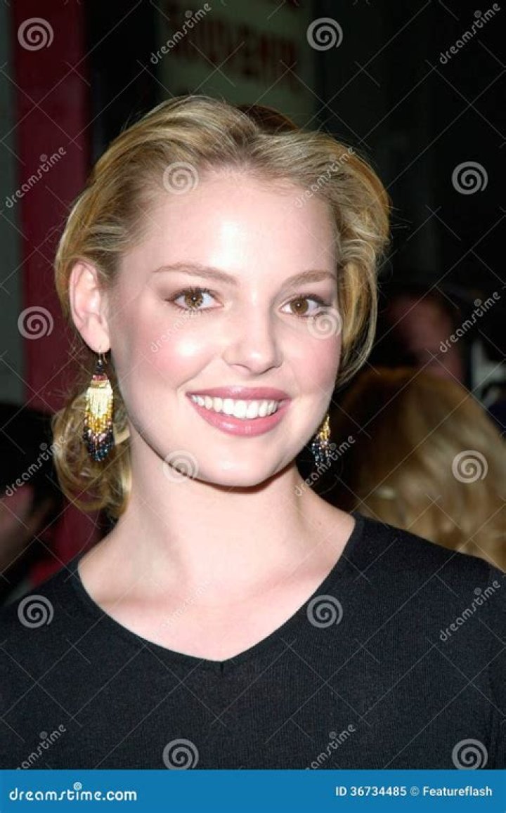 Katherine Heigl Actress Expresses Interest In Returning to TV