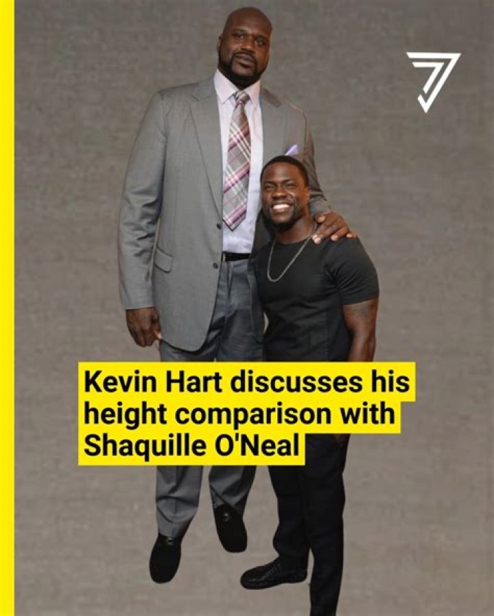 Kevin Hart&rsquo;s Height Difference Against The Rock & More CoStars