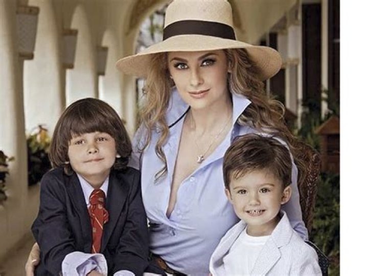 Las inesperadas declaraciones de Aracely Ar&aacute;mbula sobre los hijos que
