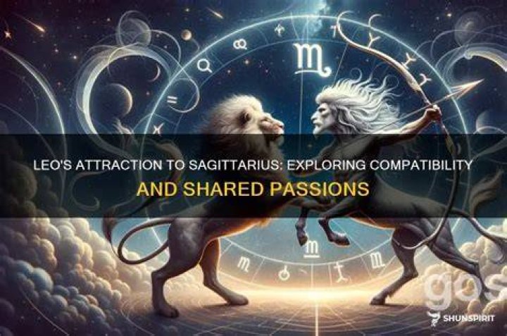 Love, Compatibility, And Shared Passions