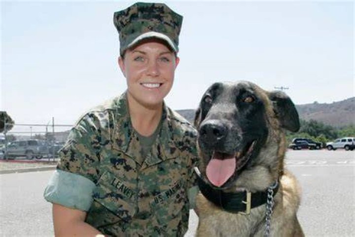 Megan Leavey's Endearing Relationship With Matt Morales: A Love Story