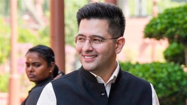 Raghav Chadha FauveFinlaec