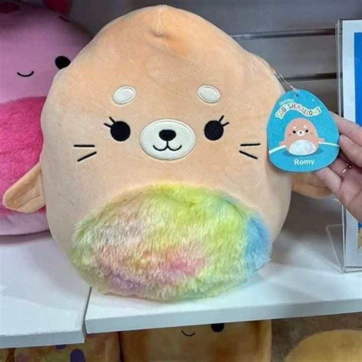 Rarest squishmallow? r/squishmallow