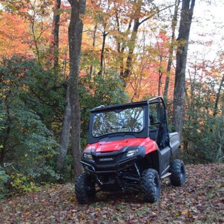 &rdquo;We tell you how our love was born&rdquo; Giulio Berruti and Maria Elena