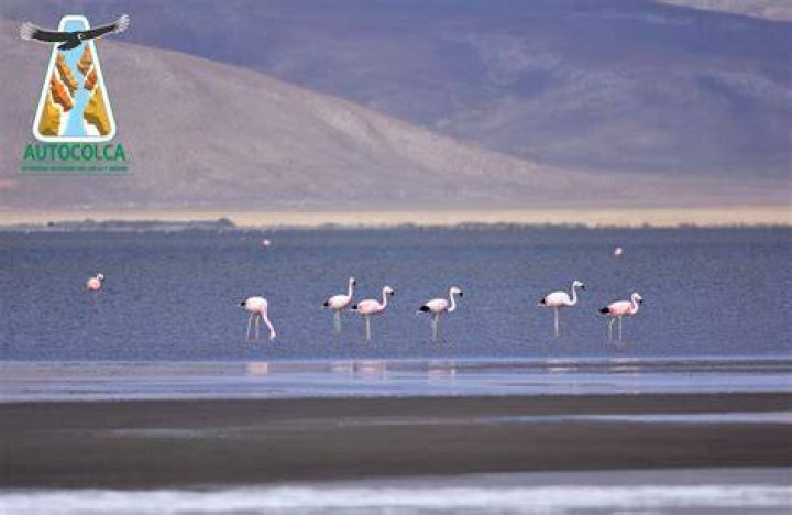 Salinas tiene una importante razón para reducir dos tallas más