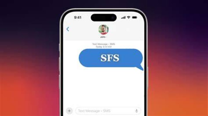 SFS Meaning A Beginner's Guide to the Popular Hashtag English Study